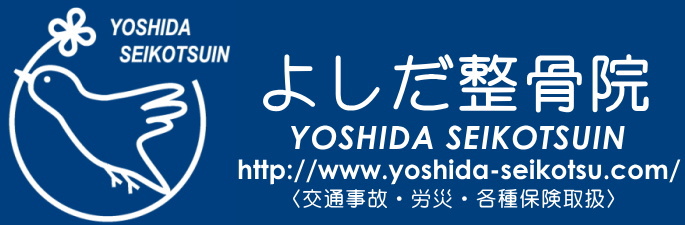 logo8.jpg